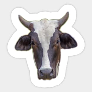 head cow Sticker
